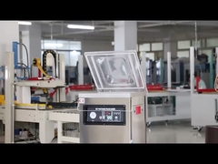 DUOQI DZ-400 Macchina di imballaggio a vuoto a camera singola con controllo elettrico